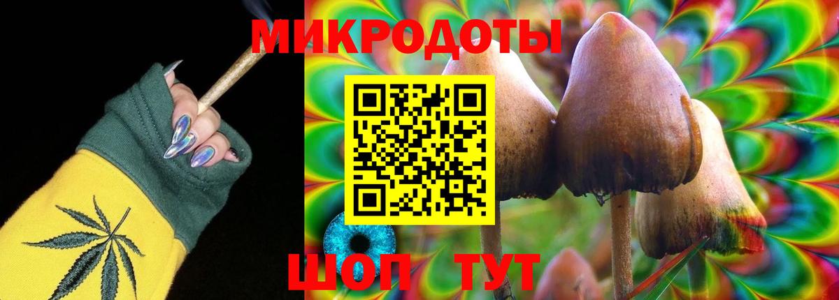Псилоцибиновые грибы Psilocybe Павловский Посад